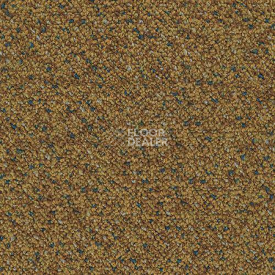 Ковровая плитка Desso Capella Desso Capella 5422 фото 1 | FLOORDEALER