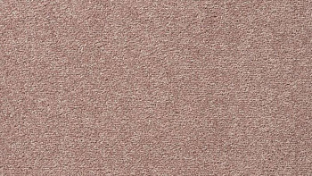 Ковролин Vorwerk Passion 1004 Vorwerk 1m08 фото 1 | FLOORDEALER