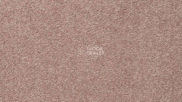 Ковролин Vorwerk Passion 1004 Vorwerk 1m08 фото 1 | FLOORDEALER