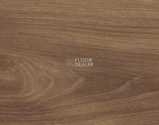 Ламинат Haro Tritty 100 4V Орех Варио 544714 фото 1 | FLOORDEALER