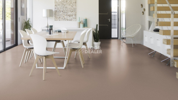 Taralay Initial Compact (Plain & allover look) 0957 Spider Cuivre фото 2 | FLOORDEALER