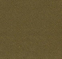 Ковролин Desso Asteranne 2022 фото 1 | FLOORDEALER