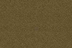 Ковролин Desso Asteranne 2022 фото  | FLOORDEALER