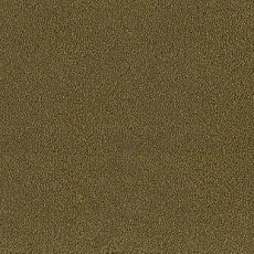 Desso Asteranne 2022 фото 1 | FLOORDEALER