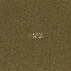 Ковролин Desso Asteranne 2022 фото 1 | FLOORDEALER