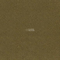 Desso Asteranne 2022 фото 1 | FLOORDEALER