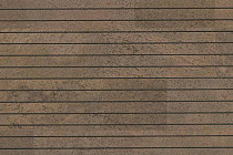 Пробковое покрытие Corkstyle Especial Wall настенное KANSAS фото 1 | FLOORDEALER