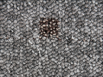 Ковролин Timzo Vegas 1026 фото 1 | FLOORDEALER