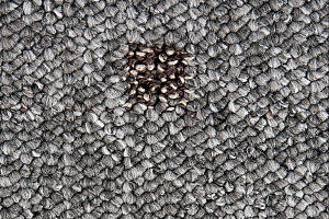 Ковролин Timzo Vegas 1026 фото  | FLOORDEALER