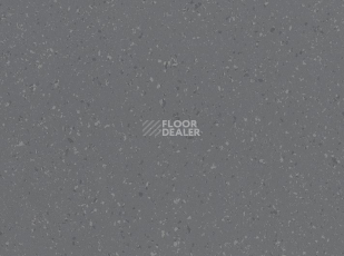 Линолеум Polyflor Palettone Sd 8608 фото 1 | FLOORDEALER