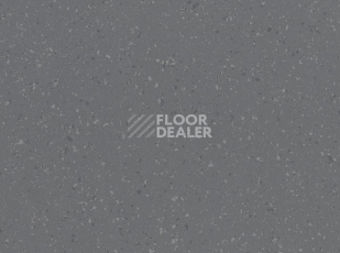 Линолеум Polyflor Palettone Sd 8608 фото 1 | FLOORDEALER