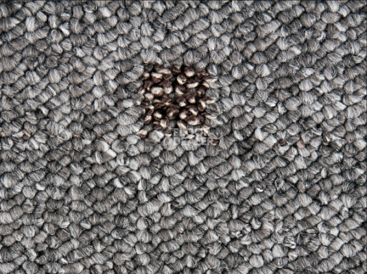 Ковролин Timzo Vegas 1026 фото 1 | FLOORDEALER