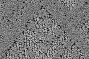 Ковролин Balsan Grand Hotel Arcachon 920 фото  | FLOORDEALER