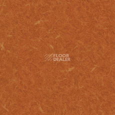 Линолеум Grabo Silver Knight Acoustic 7 455_885-3553 фото 1 | FLOORDEALER