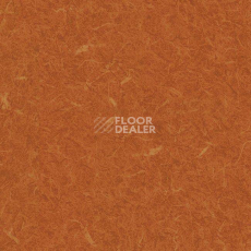 Линолеум Grabo Silver Knight Acoustic 7 455_885-3553 фото 1 | FLOORDEALER