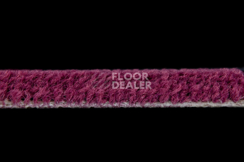 Balsan Les Best S 599 фото 3 | FLOORDEALER