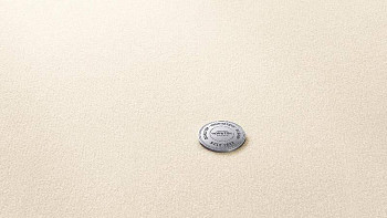 Ковролин Vorwerk Superior 1063 Vorwerk 6c85 фото 1 | FLOORDEALER