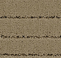 Ковролин Balsan Triomphe 630 фото 1 | FLOORDEALER