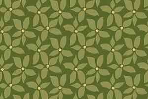 Ковролин Big Carus BS 003-22302 фото  | FLOORDEALER