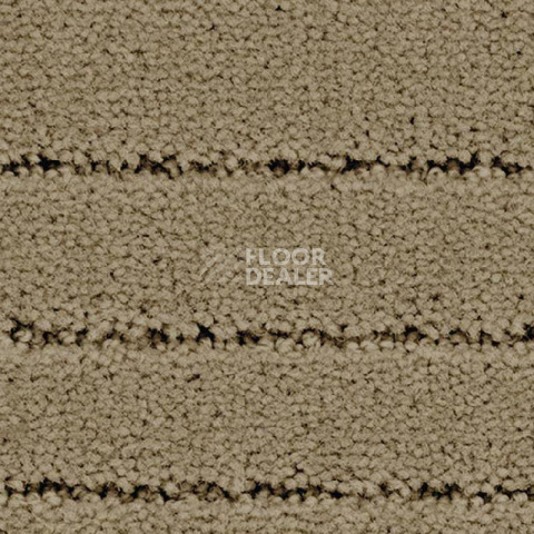 Ковролин Balsan Triomphe 630 фото 1 | FLOORDEALER