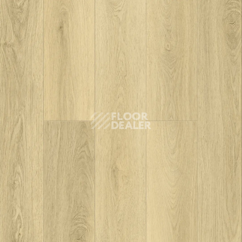 Кварцвиниловые полы Alpine Floor Premium XL Дуб Утренний ECO7-41 фото 1 | FLOORDEALER