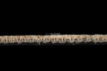 Imperfection Коллекция Bruut Bruut 751 фото 5 | FLOORDEALER