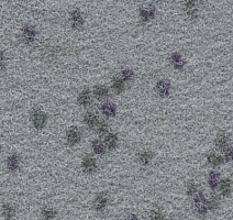 Ковролин Finett Vision Focus 805572 фото 1 | FLOORDEALER