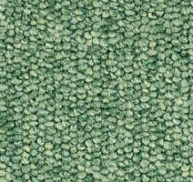 Ковролин Balsan Centaure 2000 Centaure 227 фото 1 | FLOORDEALER