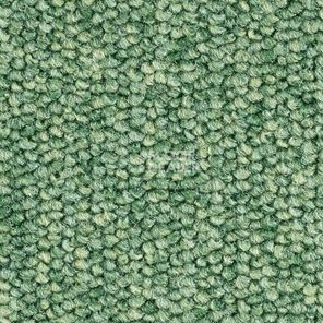 Ковролин Balsan Centaure 2000 Centaure 227 фото 1 | FLOORDEALER