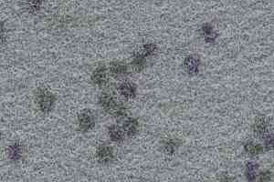 Ковролин Finett Vision Focus 805572 фото  | FLOORDEALER