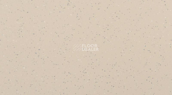 Attraction Connect 635 x 635 INDIANA_4343_Tokelau фото 1 | FLOORDEALER