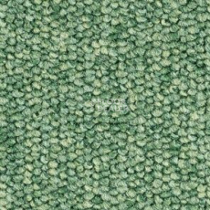 Ковролин Balsan Centaure 2000 Centaure 227 фото 1 | FLOORDEALER