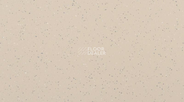 Кварцвиниловые полы Attraction Connect 635 x 635 INDIANA_4343_Tokelau фото 1 | FLOORDEALER