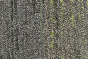 Ковровая плитка Autumn Woods 601003 New Leaf Mix фото  | FLOORDEALER