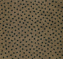 Ковролин Associated Weavers Perfecto 49 фото 1 | FLOORDEALER