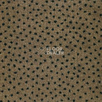 Ковролин Associated Weavers Perfecto 49 фото 1 | FLOORDEALER