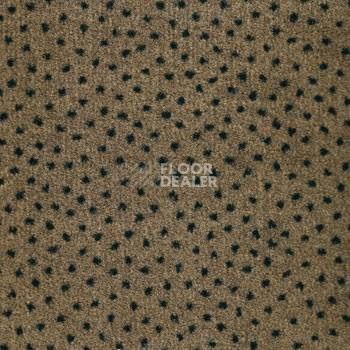 Ковролин Associated Weavers Perfecto 49 фото 1 | FLOORDEALER