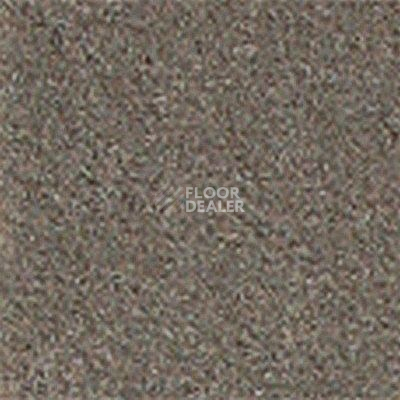 Ковролин Girloon Standard 855 фото 1 | FLOORDEALER