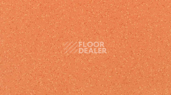 Кварцвиниловые полы Gerflor Attraction Connect 635 x 635 BRAZILIA_8157_Goias фото 1 | FLOORDEALER