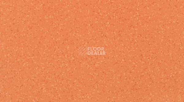 Кварцвиниловые полы Attraction Connect 635 x 635 BRAZILIA_8157_Goias фото 1 | FLOORDEALER