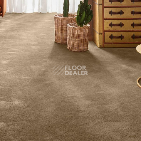 Vorwerk Exclusive 1060 Safira 7g63 фото 2 | FLOORDEALER