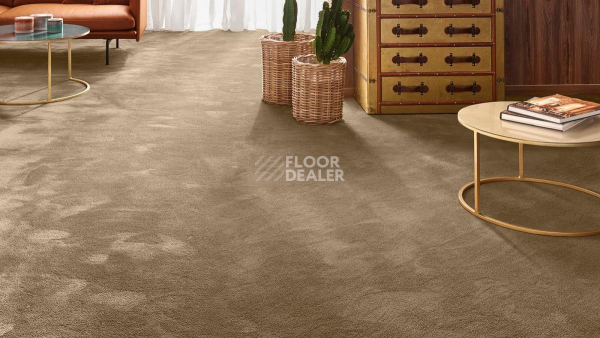 Vorwerk Exclusive 1060 Safira 7g63 фото 2 | FLOORDEALER