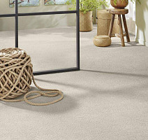 Vorwerk Superior 1065/Viola Vorwerk 6c70 фото 2 | FLOORDEALER