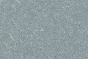 Линолеум Grabo Silver Knight Acoustic 7 455_858-6101 фото  | FLOORDEALER