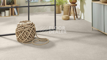 Vorwerk Superior 1065/Viola Vorwerk 6c70 фото 2 | FLOORDEALER