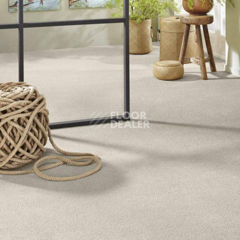 Vorwerk Superior 1065/Viola Vorwerk 6c70 фото 2 | FLOORDEALER
