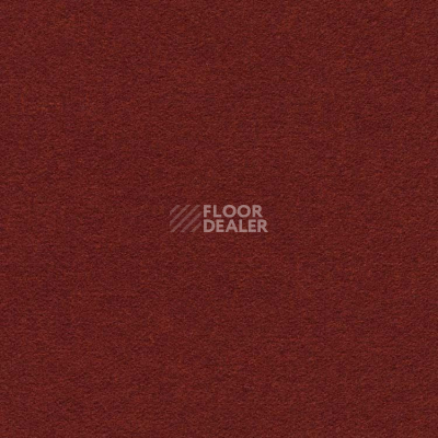 Ковролин Finett Feinwerk 503511 фото 1 | FLOORDEALER