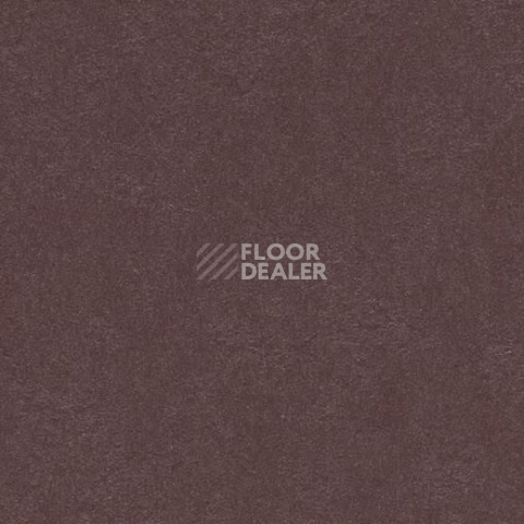 Линолеум Forbo Marmoleum Decibel on Order 335335 eggplant purple фото 1 | FLOORDEALER
