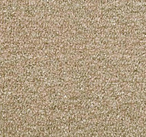 Ковролин Sintelon Dragon 10431 фото 1 | FLOORDEALER