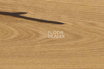Пробковое покрытие Wood Xl замковое Oak Accent фото 1 | FLOORDEALER